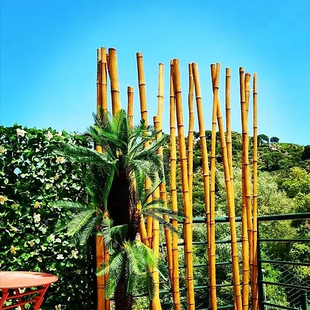 Mirador Del بيت للعطل *